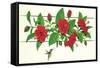 Hibiscus Hummer-null-Framed Stretched Canvas