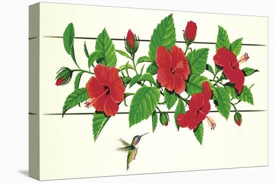 Hibiscus Hummer-null-Stretched Canvas