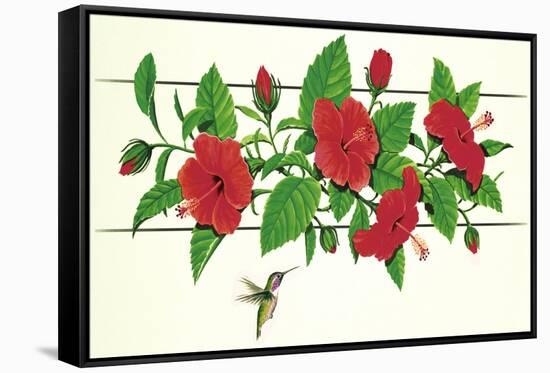 Hibiscus Hummer-null-Framed Stretched Canvas