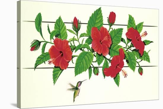 Hibiscus Hummer-null-Stretched Canvas