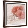 Hibiscus I-li bo-Framed Giclee Print