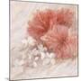 Hibiscus I-li bo-Mounted Giclee Print