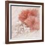 Hibiscus I-li bo-Framed Giclee Print