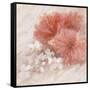 Hibiscus I-li bo-Framed Stretched Canvas