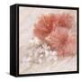 Hibiscus I-li bo-Framed Stretched Canvas