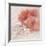 Hibiscus I-li bo-Framed Giclee Print