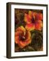 Hibiscus I-John Seba-Framed Art Print