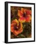 Hibiscus I-John Seba-Framed Art Print