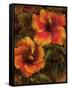 Hibiscus I-John Seba-Framed Stretched Canvas