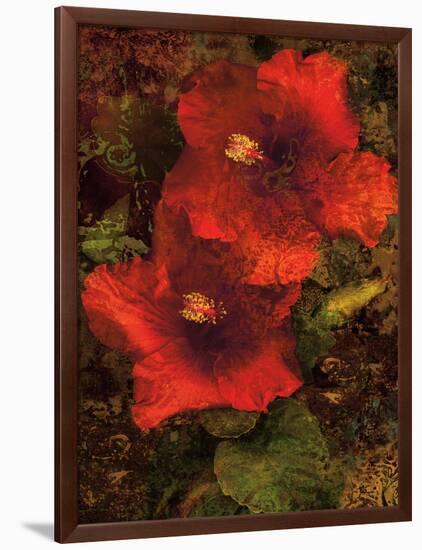 Hibiscus II-John Seba-Framed Art Print