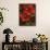 Hibiscus II-John Seba-Mounted Art Print displayed on a wall