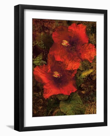 Hibiscus II-John Seba-Framed Art Print