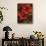 Hibiscus II-John Seba-Stretched Canvas displayed on a wall