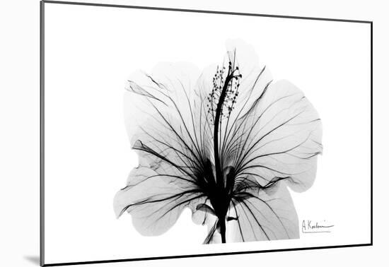 Hibiscus in Black and White-Albert Koetsier-Mounted Art Print