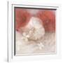 Hibiscus IV-li bo-Framed Giclee Print