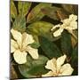 Hibiscus Leaves I-Patricia Pinto-Mounted Art Print