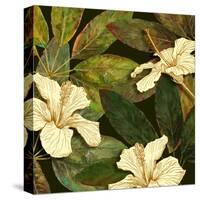 Hibiscus Leaves I-Patricia Pinto-Stretched Canvas