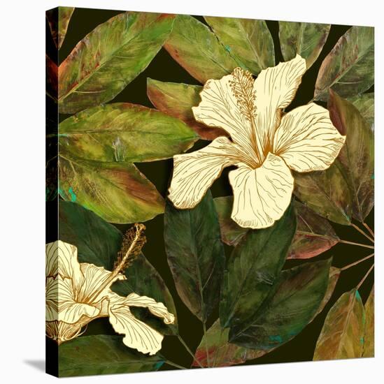 Hibiscus Leaves II-Patricia Pinto-Stretched Canvas