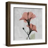 Hibiscus Marsala-Albert Koetsier-Framed Art Print