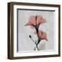 Hibiscus Marsala-Albert Koetsier-Framed Art Print