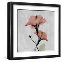 Hibiscus Marsala-Albert Koetsier-Framed Art Print