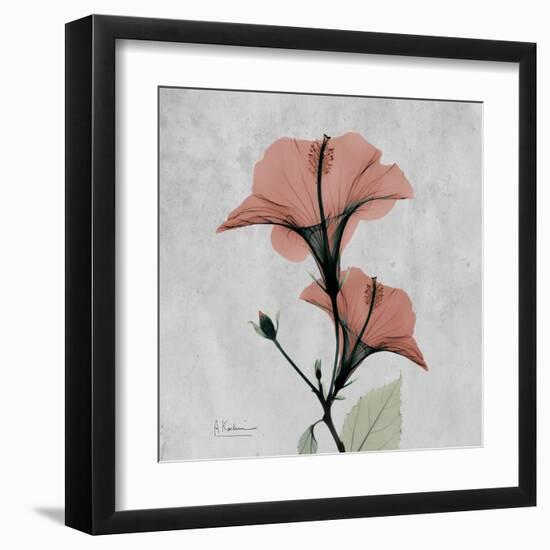 Hibiscus Marsala-Albert Koetsier-Framed Art Print