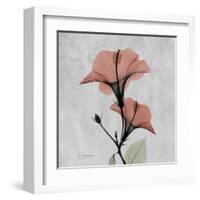 Hibiscus Marsala-Albert Koetsier-Framed Art Print