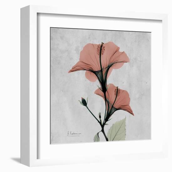 Hibiscus Marsala-Albert Koetsier-Framed Art Print