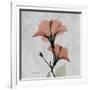 Hibiscus Marsala-Albert Koetsier-Framed Art Print