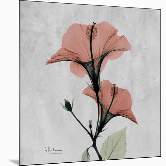 Hibiscus Marsala-Albert Koetsier-Mounted Art Print