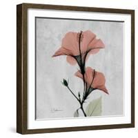 Hibiscus Marsala-Albert Koetsier-Framed Art Print