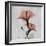 Hibiscus Marsala-Albert Koetsier-Framed Art Print