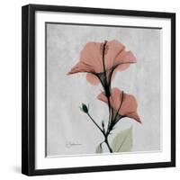 Hibiscus Marsala-Albert Koetsier-Framed Art Print