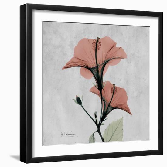 Hibiscus Marsala-Albert Koetsier-Framed Art Print