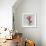 Hibiscus Marsala-Albert Koetsier-Framed Art Print displayed on a wall