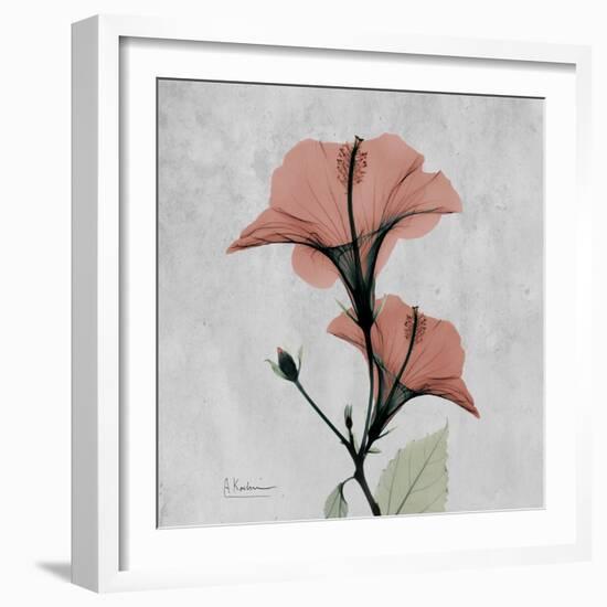 Hibiscus Marsala-Albert Koetsier-Framed Art Print