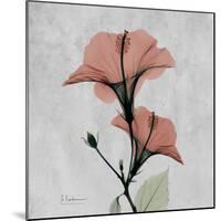 Hibiscus Marsala-Albert Koetsier-Mounted Art Print