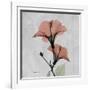 Hibiscus Marsala-Albert Koetsier-Framed Art Print