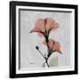 Hibiscus Marsala-Albert Koetsier-Framed Art Print