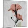 Hibiscus Marsala-Albert Koetsier-Mounted Art Print