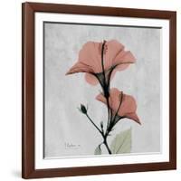 Hibiscus Marsala-Albert Koetsier-Framed Art Print