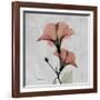 Hibiscus Marsala-Albert Koetsier-Framed Art Print