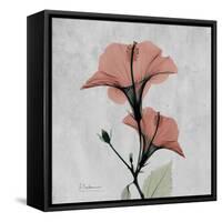 Hibiscus Marsala-Albert Koetsier-Framed Stretched Canvas