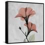 Hibiscus Marsala-Albert Koetsier-Framed Stretched Canvas