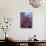 Hibiscus, Maui, Hawaii, USA-Darrell Gulin-Photographic Print displayed on a wall