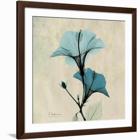 Hibiscus Moment-Albert Koetsier-Framed Art Print