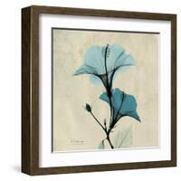 Hibiscus Moment-Albert Koetsier-Framed Art Print