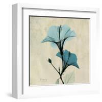 Hibiscus Moment-Albert Koetsier-Framed Art Print