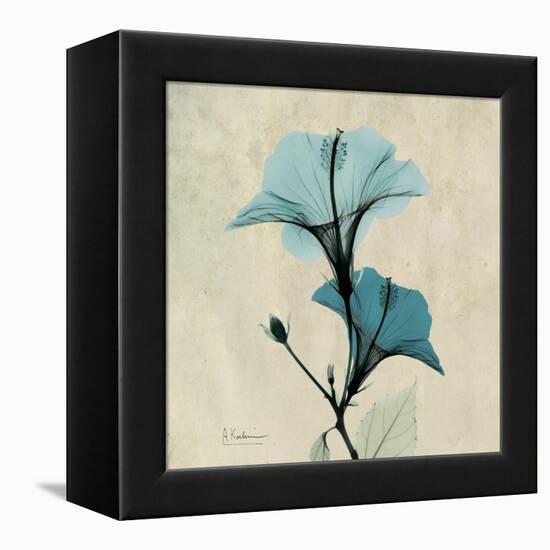 Hibiscus Moment-Albert Koetsier-Framed Stretched Canvas