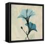 Hibiscus Moment-Albert Koetsier-Framed Stretched Canvas